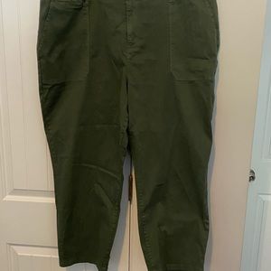 NWT Sanctuary Cropped Pants 20W